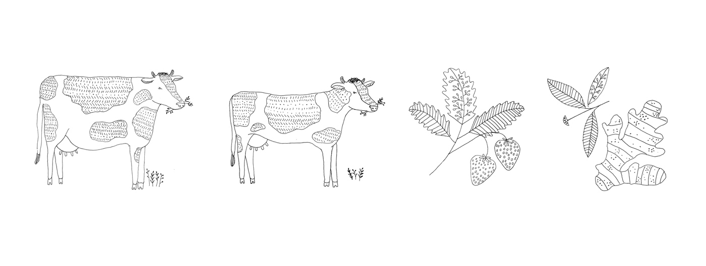 杭州酸奶品牌包裝設(shè)計(jì)參考(圖5) 杭州酸奶品牌包裝設(shè)計(jì)參考(圖5)