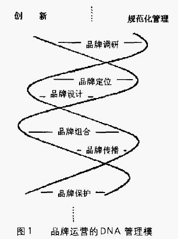 品牌運營的DNA管理模型(圖1)