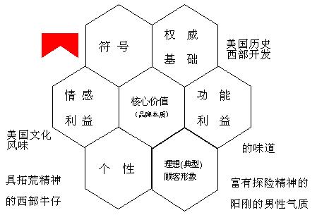 電通蜂窩模型(圖3)