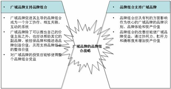 品牌成長(zhǎng)曲線(圖16)