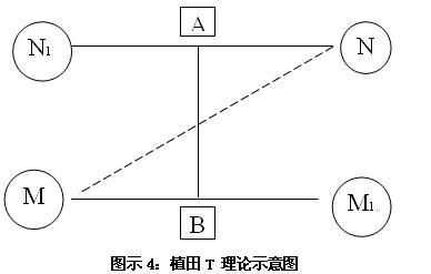 植田T理論(圖1)