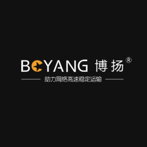 博揚(yáng)品牌logo設(shè)計(jì)欣賞與分析(圖1)