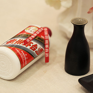 創(chuàng)意酒包裝設(shè)計(jì)茅臺(tái) 飛天茅臺(tái) 2015年 53%vol 醬香型白酒 500ml 單瓶裝產(chǎn)品包裝設(shè)計(jì)欣賞(圖5)