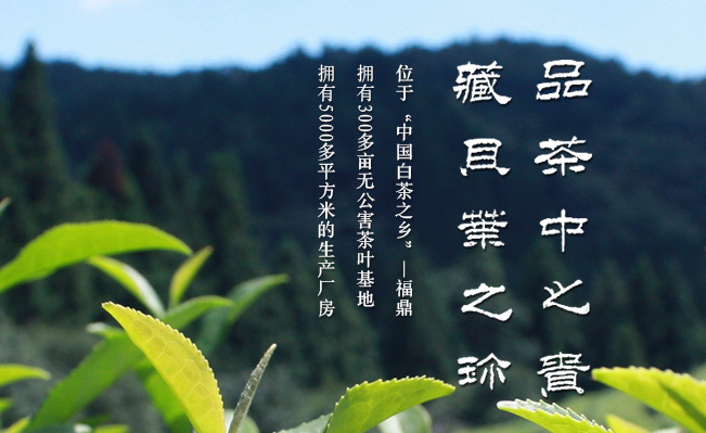 品貝品牌logo與產(chǎn)品包裝設(shè)計欣賞(圖2)