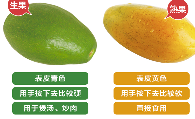 JOYTREE歡樂(lè)果園品牌logo與食品包裝設(shè)計(jì)欣賞(圖3)
