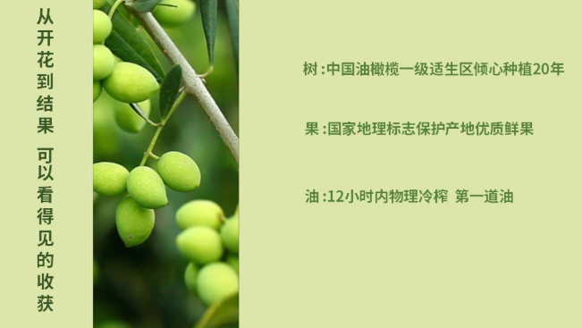 田園油橄欖品牌logo與食品包裝設(shè)計欣賞(圖4)