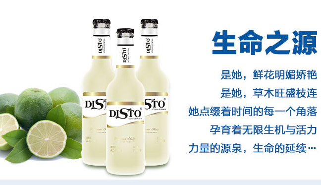 DISTO迪士品牌logo與食品包裝設(shè)計(jì)欣賞(圖2)