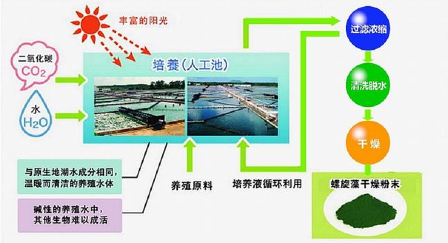 DIC迪愛(ài)生品牌logo與食品包裝設(shè)計(jì)欣賞(圖3)