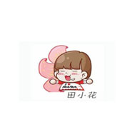 田小花螺螄粉品牌logo與食品包裝設(shè)計欣賞(圖1)