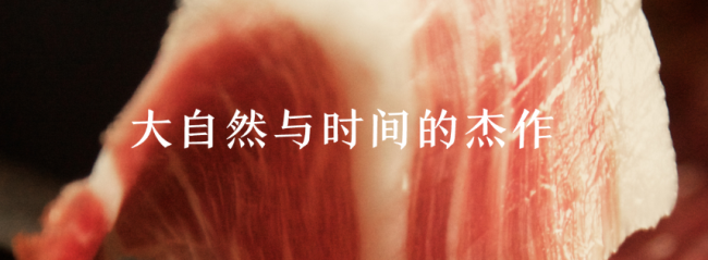 5J Cinco Jotas品牌logo與食品包裝設(shè)計(jì)欣賞(圖4)