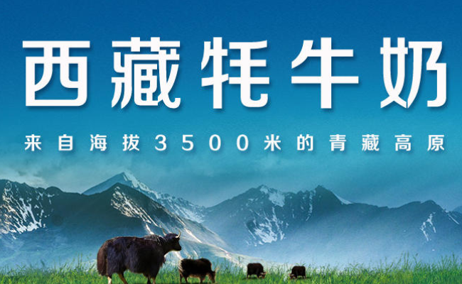 高原之寶品牌logo與食品包裝設(shè)計欣賞(圖2)