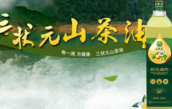 三狀元品牌logo與食品包裝設(shè)計欣賞(圖2)
