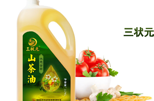三狀元品牌logo與食品包裝設(shè)計欣賞(圖4)