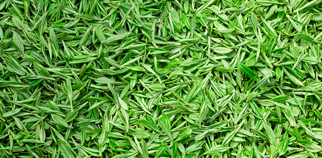 金潤(rùn)茶業(yè)品牌logo與食品包裝設(shè)計(jì)欣賞(圖2)