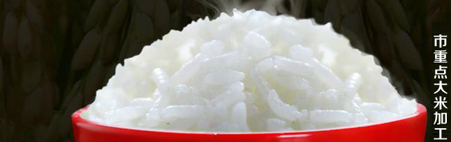瓦埠湖品牌logo與食品包裝設(shè)計(jì)欣賞(圖3)