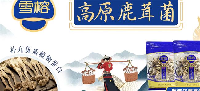 雪榕品牌logo與食品包裝設(shè)計(jì)欣賞(圖2)
