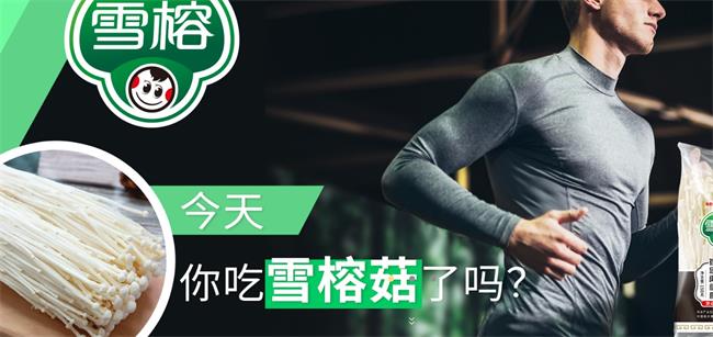 雪榕品牌logo與食品包裝設(shè)計(jì)欣賞(圖3)