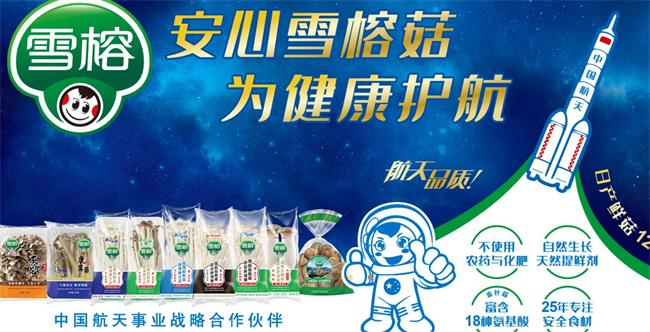 雪榕品牌logo與食品包裝設(shè)計(jì)欣賞(圖4)