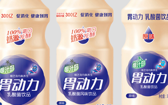 椰汁島品牌logo與食品包裝設(shè)計欣賞(圖3)