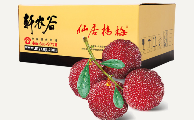 軒農(nóng)谷品牌logo與食品包裝設(shè)計欣賞(圖2)