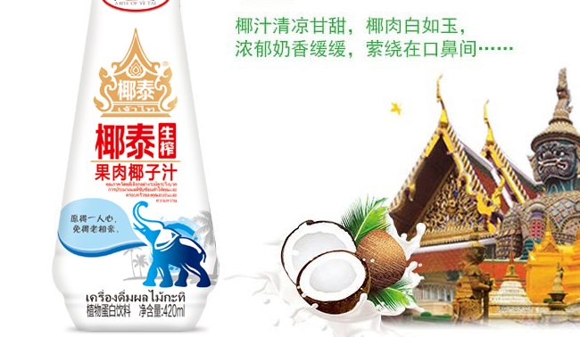 椰泰品牌logo與食品包裝設(shè)計欣賞(圖2)