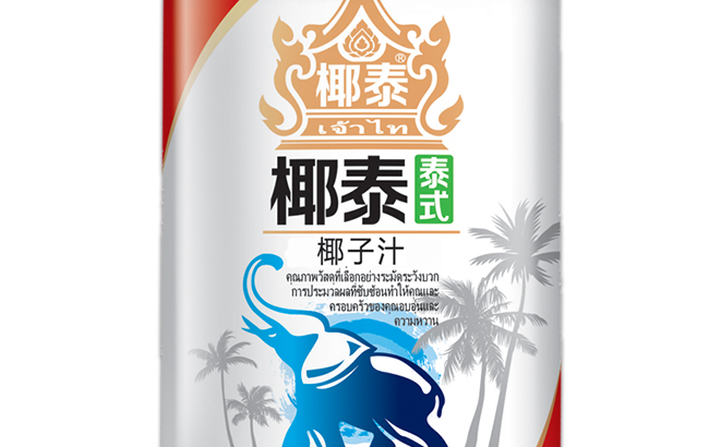 椰泰品牌logo與食品包裝設(shè)計欣賞(圖3)