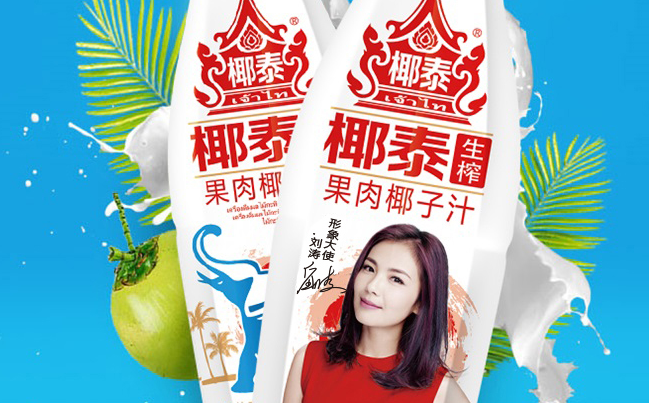 椰泰品牌logo與食品包裝設(shè)計欣賞(圖4)