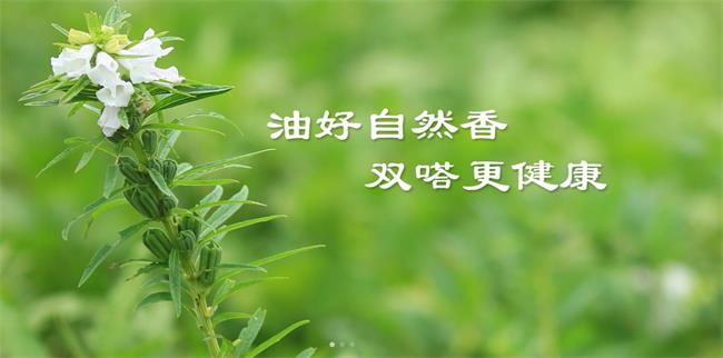 雙嗒品牌logo與食品包裝設(shè)計(jì)欣賞(圖2)