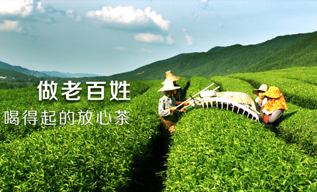 蘇福茶業(yè)品牌logo與食品包裝設(shè)計欣賞(圖3)