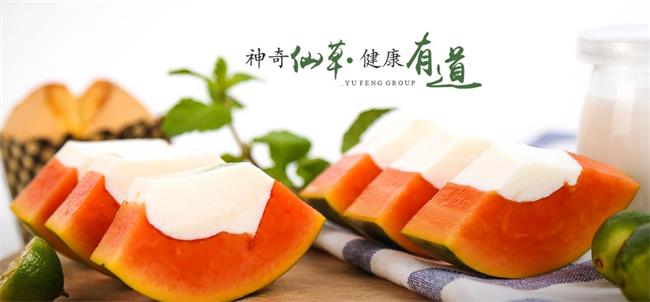 YUFIRM宇峰品牌logo與食品包裝設(shè)計(jì)欣賞(圖4)