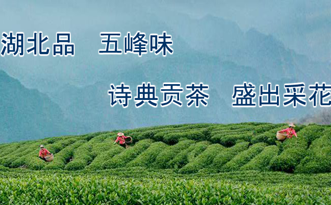 詩典貢茶食品包裝設(shè)計(jì)欣賞(圖2)