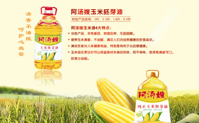 阿湯嫂食品包裝設(shè)計欣賞(圖4)