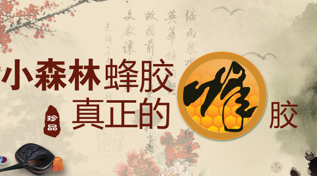 XIAOSNLIN小森林食品包裝設(shè)計(jì)欣賞(圖3)