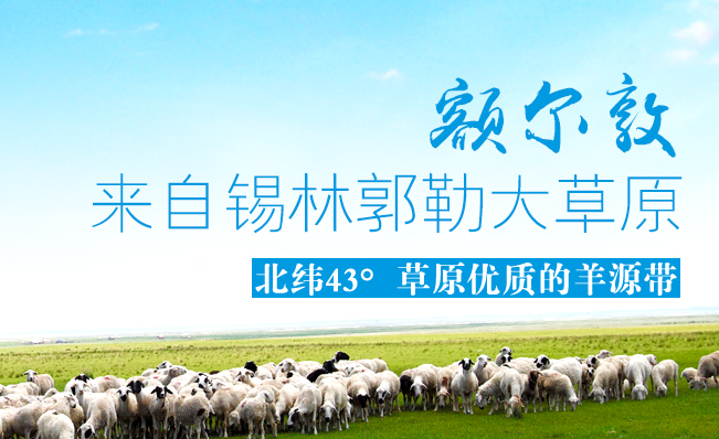 額爾敦食品包裝設(shè)計(jì)欣賞(圖3)