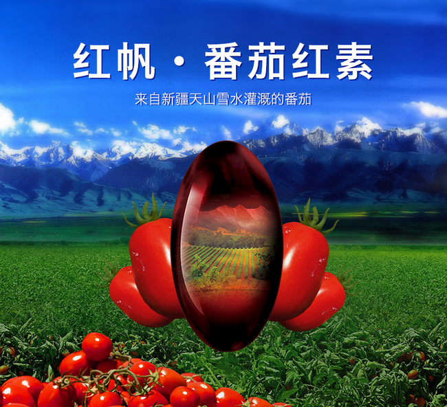 紅帆食品包裝設(shè)計欣賞(圖2)