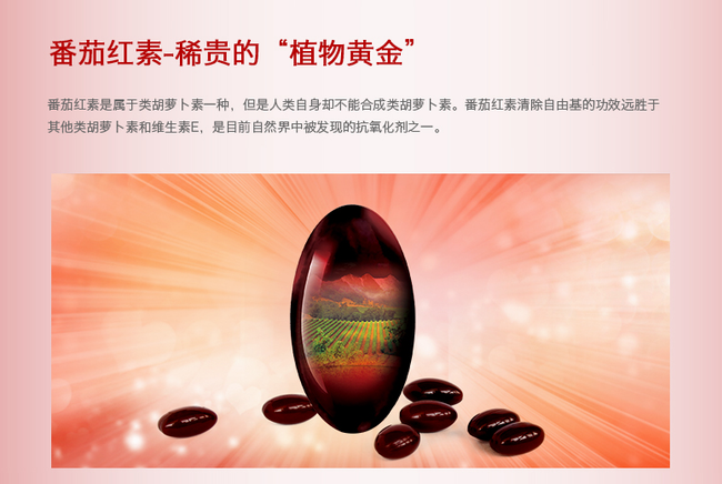 紅帆食品包裝設(shè)計欣賞(圖3)