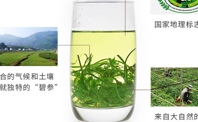 碧參食品包裝設(shè)計(jì)欣賞(圖3)