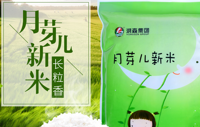 HONGSEN洪森食品包裝設(shè)計欣賞(圖4)