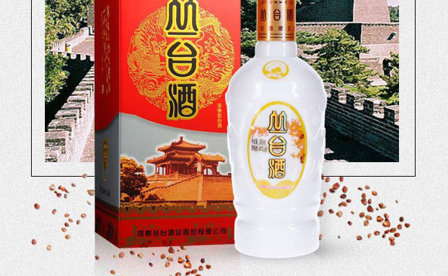 叢臺酒食品包裝設(shè)計欣賞(圖3)