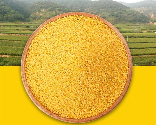 liangjiahe梁家河食品包裝設(shè)計欣賞(圖4)