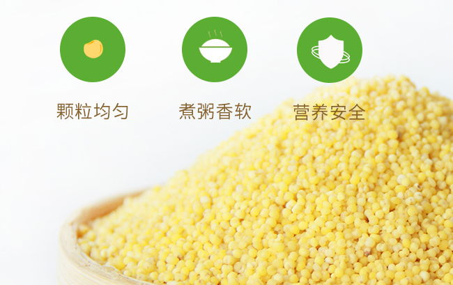 jianbuluo堿不落食品包裝設計欣賞(圖2)