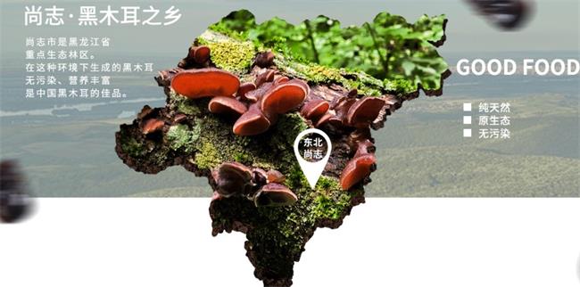 珍珠山食品包裝設(shè)計欣賞(圖3)
