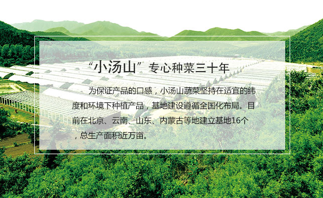 小湯山食品包裝設計欣賞(圖3)