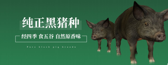 徒河食品包裝設(shè)計欣賞(圖2)
